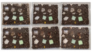 Image showing experiments on the degradation of different plastic materials. 