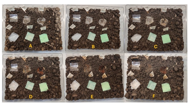 Image showing experiments on the degradation of different plastic materials. 