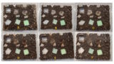 Image showing experiments on the degradation of different plastic materials. 